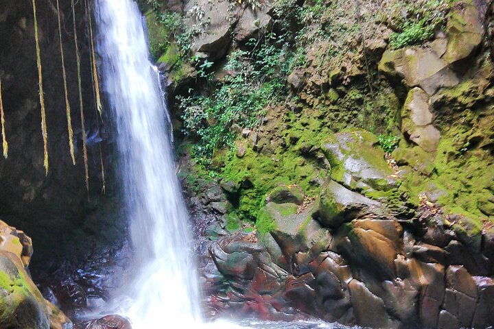 Private Rincón de la Vieja Hike and Hot Springs - Photo 1 of 25